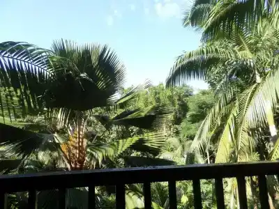Hillside Retreat - 19
