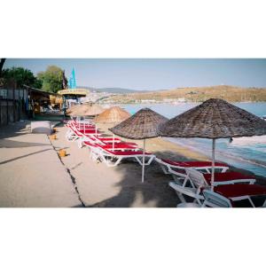 Gumbet Cove - 16
