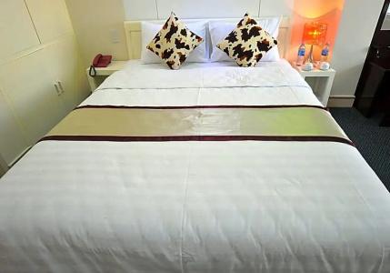 Ideal Hue - 40