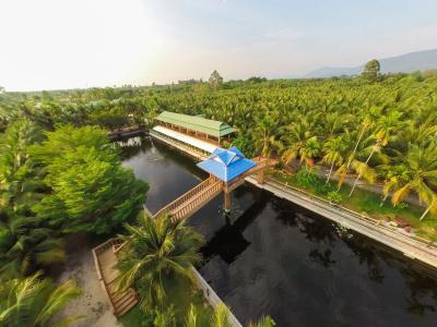 Coconut - 13