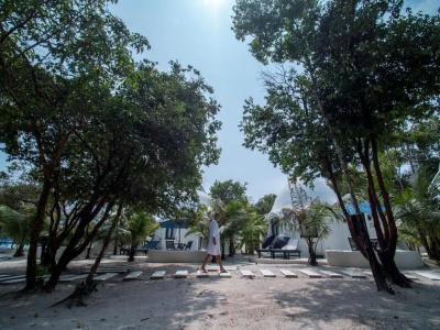 Moonlight Resort - 78