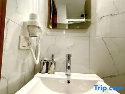 Zem - 41