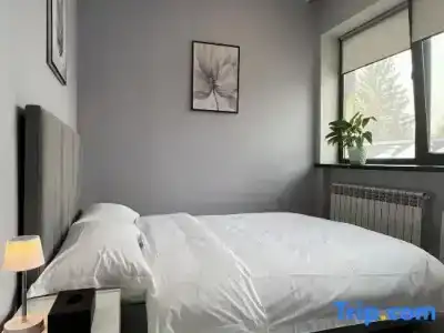 MuTu - 60