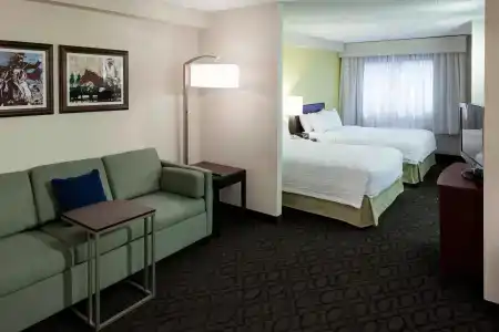 SpringHill Suites by Marriott Dallas Downtown / West End - 33