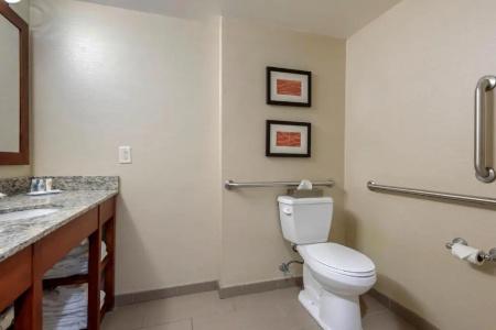 Comfort Inn The Pointe - 36