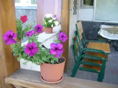 Профспилковый - 11