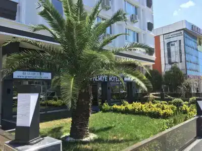 GREEN PALMİYE - 16