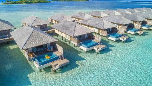 The Residence Maldives at Dhigurah - 49