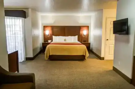 Comfort Inn - 46