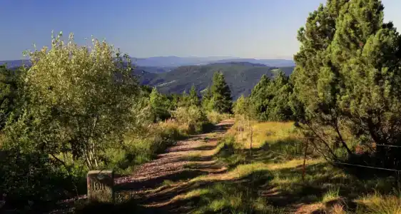 Nationalpark-Schliffkopf - 1