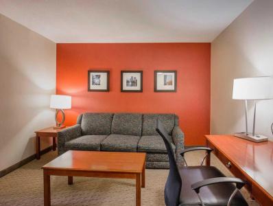 Comfort Inn & Suites South - 48