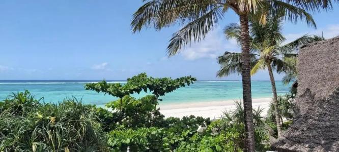 Zanzibar Retreat - 77