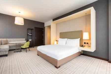 Crowne Plaza Geneva, An Ihg - 93