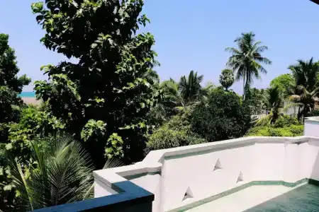 Sea Avenue - Eco Garden - 11
