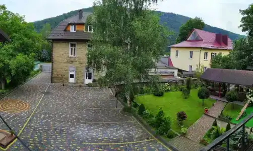 Шафран - 17