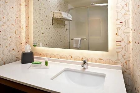 Holiday Inn & Suites Orlando International Drive South, An Ihg - 53