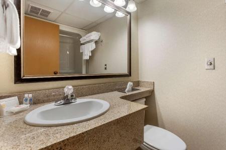 Comfort Inn at Thousand Hills - 58