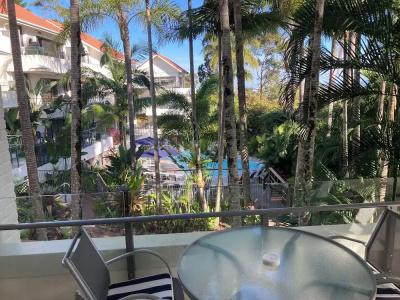 Noosa International - 55