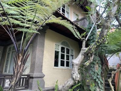 Wana Karsa Ubud - 18