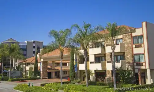 Tropicana Inn and Suites - 15