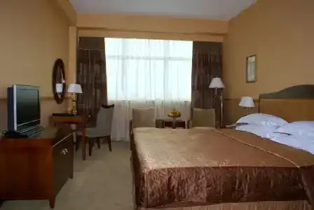 Ramada Plaza by Wyndham Gence - 5