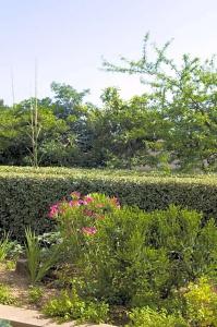 Villa Sarah - 56
