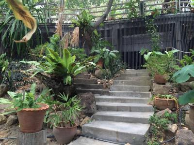 Chaweng Park Place - 23