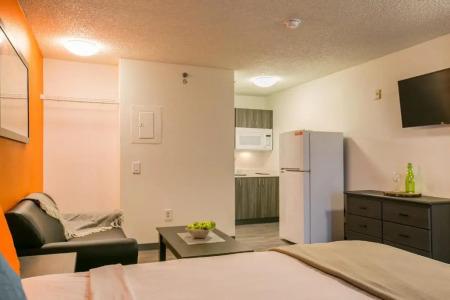 Siegel Select 2 - 19