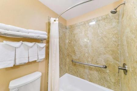 Quality Inn & Suites - 54