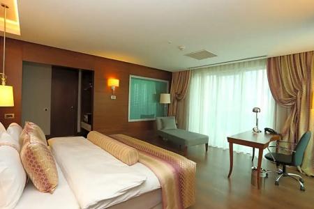 Holiday Inn Ankara - Cukurambar, an IHG - 118