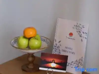 Boyu Yunlong - 259