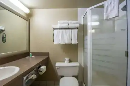 Comfort Inn & Suites Airport South - 7