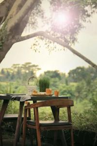 The Hidden Paradise Ubud - 22