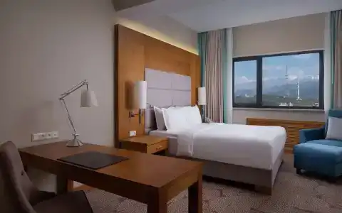 DoubleTree by Hilton Almaty - 27