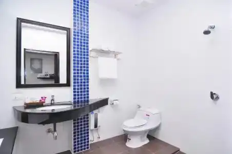 The Blueco Sha Plus - 48