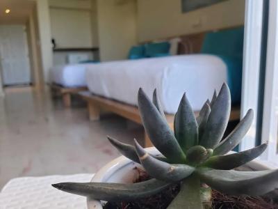 Paradise Island Beach Resort - 41