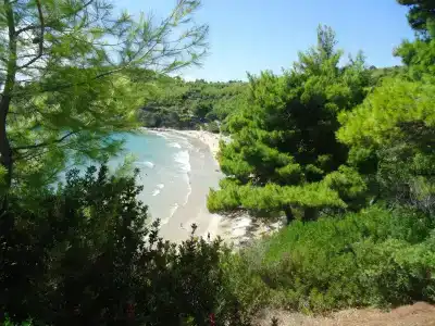Alonissos Beach Bungalows And Suites - 19