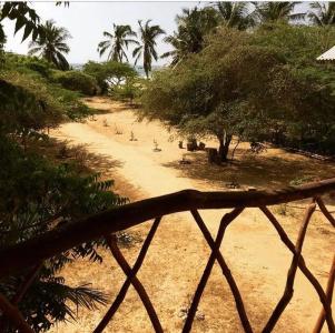 Sarada Beach Resort - 7