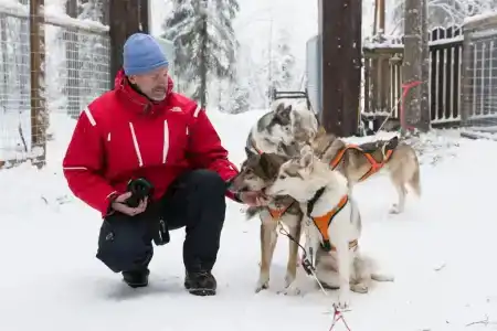 Arctic Fox Igloos - 40
