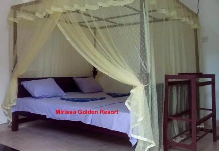 Mirissa Golden - 4
