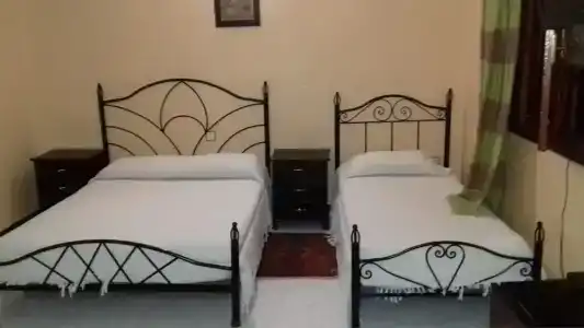 Hôtel Tijani - 53