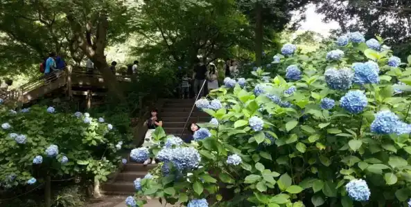 Enoshima Guest House 134 - 13