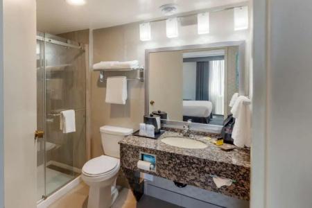 Best Western Plus Toronto Airport - 54