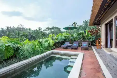 Villa Semana & Spa - 199