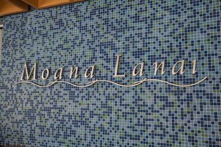 Ala Moana by AirPads - 1