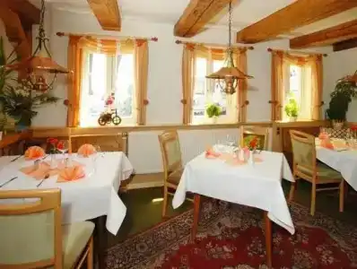 Brauner Hirsch - 10