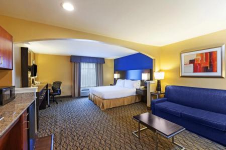 Holiday Inn Express & Suites Houston-Downtown Convention Center, An Ihg - 6