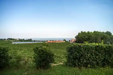 Agriturismo Tenuta San Michele - 19