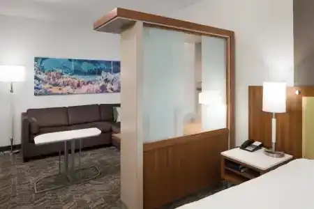 SpringHill Suites by Marriott Orlando at SeaWorld - 64