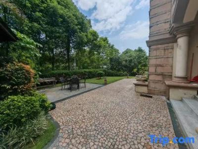 U Pana Cogito - 286